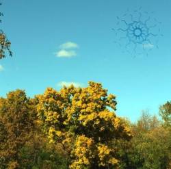 Oaks Of Bethel : The Spirit Molecule II